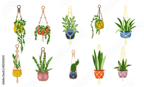 Vector set of handmade macrame hangers pots with houseplants isolated on white background. Scandinavian style interior decoration illustration