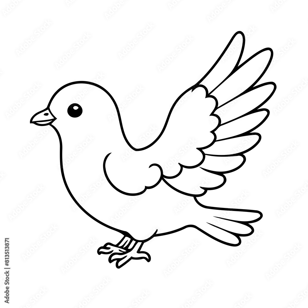 Simple vector illustration of Pigeon hand drawn for kids page Simple vector illustration of Pigeon hand drawn for kids page