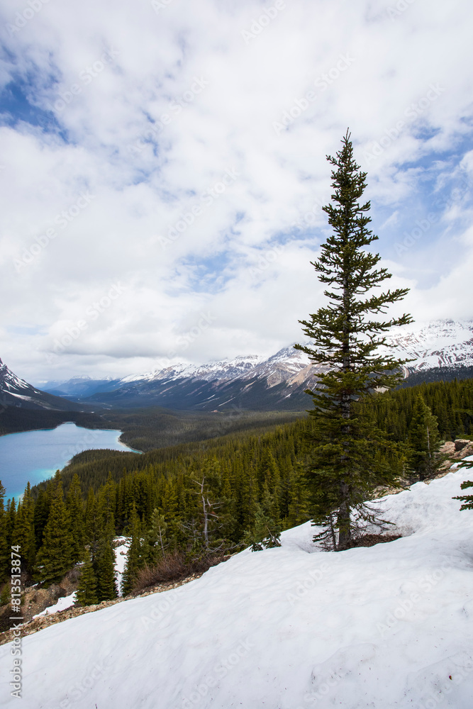 Summer landscape in Peyto lake, Banff National Park, Canada Summer landscape in Peyto lake, Banff National Park, Canada