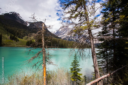 Summer landscape in Emerald lake, Yoho National Park, Canada photo