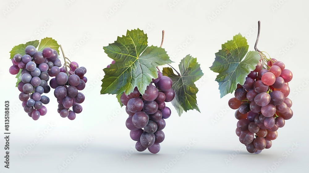 Fototapeta premium Set of Ripe Grapes with Leaves Cut Out 8K