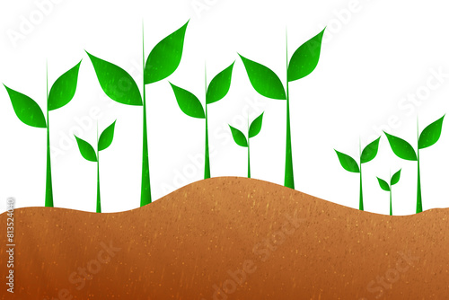 plant growing from soil isolated on white