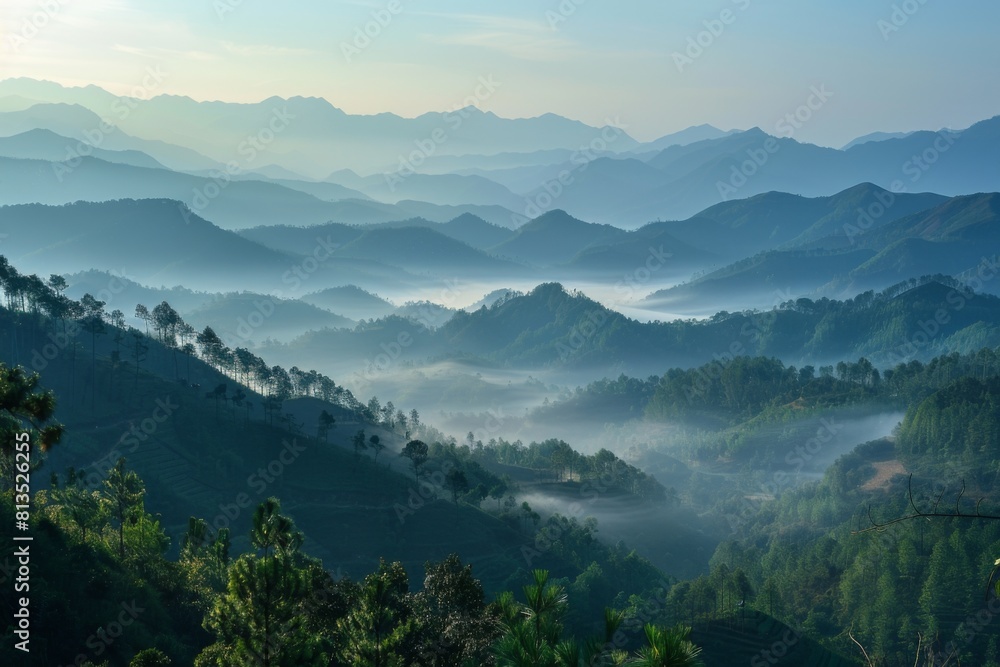 The mountains are covered in trees and the sky is a beautiful shade of blue The mountains are covered in trees and the sky is a beautiful shade of blue