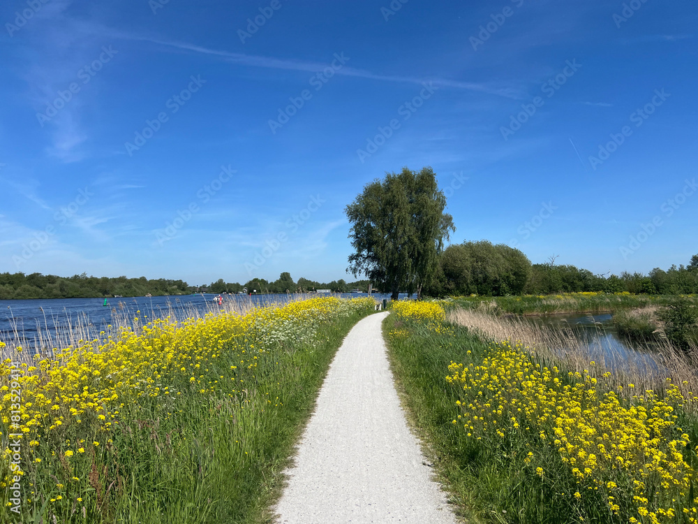 Bicycle path around Nationaal park De Alde Feanen