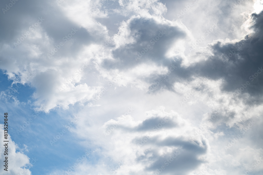 Fototapeta premium 見上げると美しい空