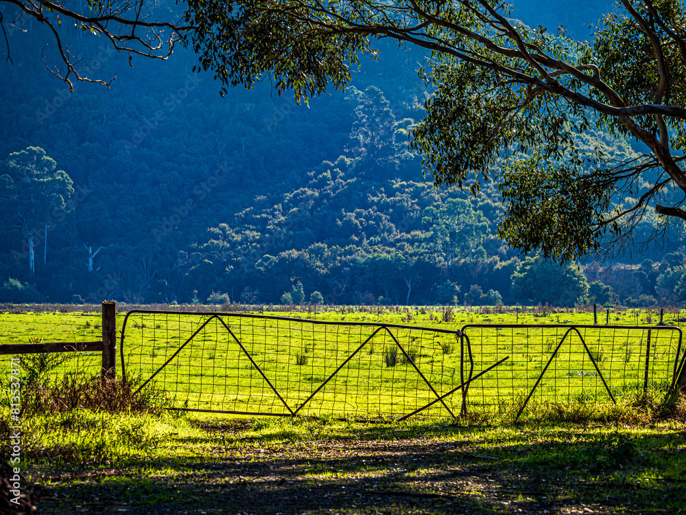 Fototapeta premium Set Of Farm Gates Against Blue Hillside