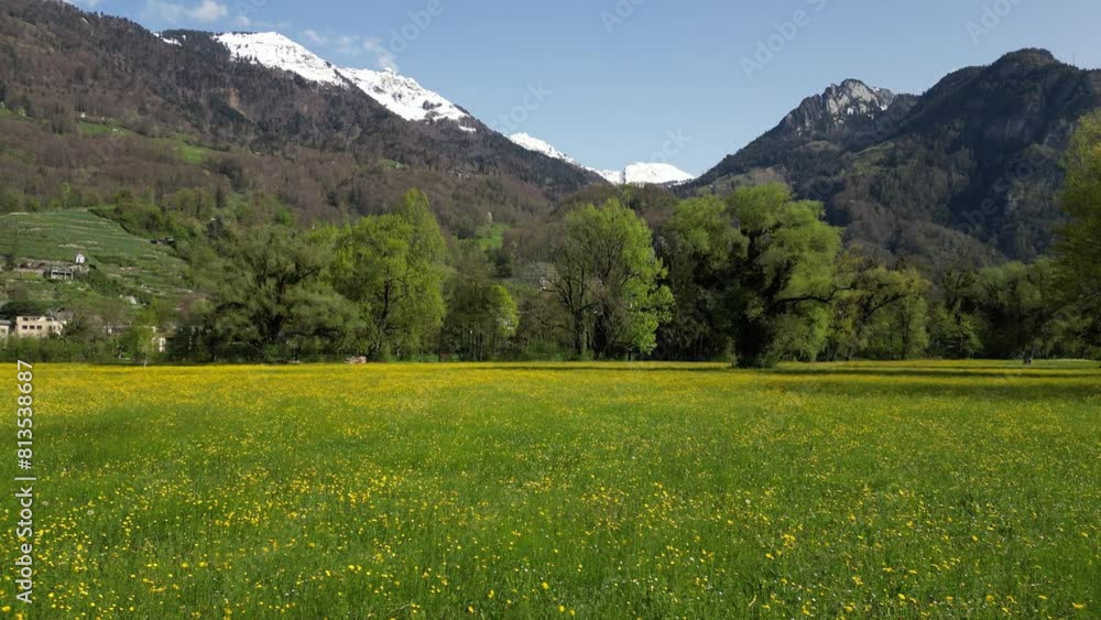 Slider Shot Of Beautiful Green Meadow In Front Of Snowy Weesen Mountain, St.Gallen, Switzerland Slider Shot Of Beautiful Green Meadow In Front Of Snowy Weesen Mountain, St.Gallen, Switzerland