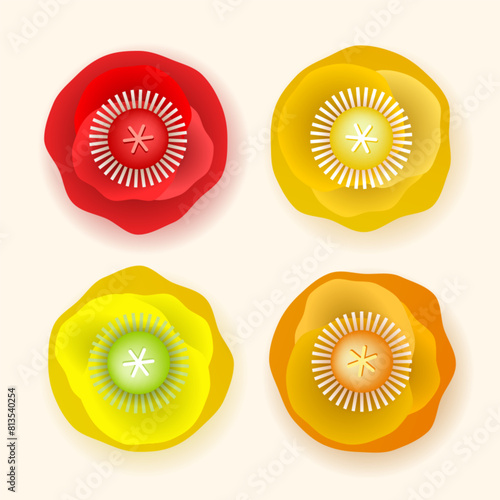 Set of colorful poppy flowers
