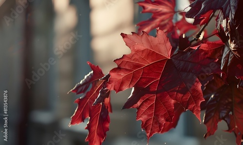 red maple leaves, Generative AI
