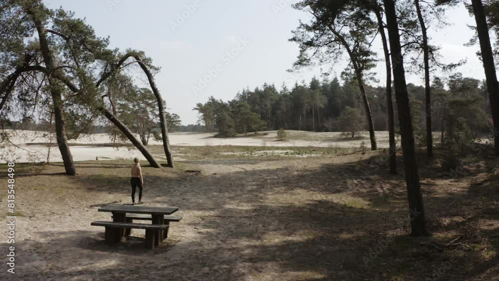 Woman walks in Sahara of Ommen, drone view Woman walks in Sahara of Ommen, drone view