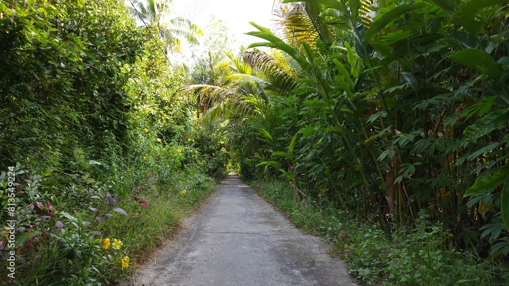 Narrow village street in countryside at Mekong Delta Vietnam. Narrow village street in countryside at Mekong Delta Vietnam.
