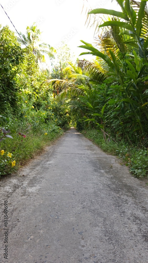 Narrow village street in countryside at Mekong Delta Vietnam. Narrow village street in countryside at Mekong Delta Vietnam.