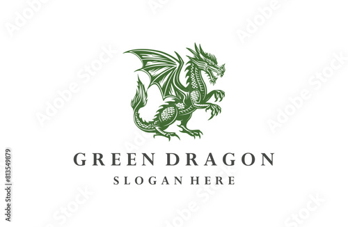 Green Dragon style logo icon design template flat vector