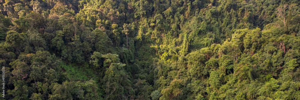 Aerial view of a dense tropical rainforest canopy, symbolizing Earth Day and World Environment Day, highlighting the concept of conservation and biodiversity Aerial view of a dense tropical rainforest canopy, symbolizing Earth Day and World Environment Day, highlighting the concept of conservation and biodiversity