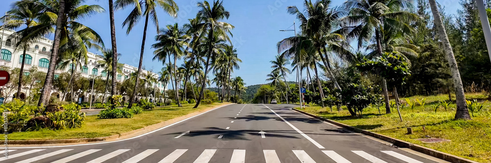 Sunny tropical boulevard with lush palm trees and clear blue sky, ideal for travel and summer vacation themes