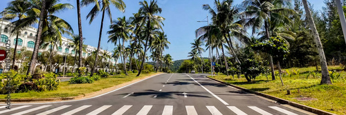 Sunny tropical boulevard with lush palm trees and clear blue sky, ideal for travel and summer vacation themes © fotoworld