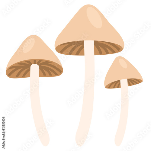 psilocybin flat icon