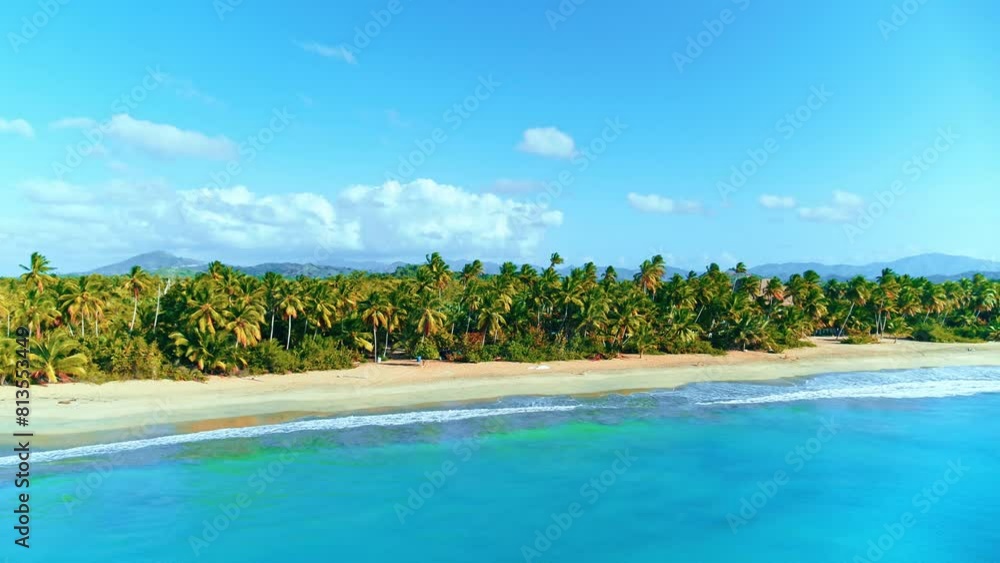 Sea wild beach in the Dominican Republic with palm trees, ocean and mountains in the background. Amazing natural scenery. Coconut palms with bright leaves. Summer holidays and tropical beach concept. Sea wild beach in the Dominican Republic with palm trees, ocean and mountains in the background. Amazing natural scenery. Coconut palms with bright leaves. Summer holidays and tropical beach concept.
