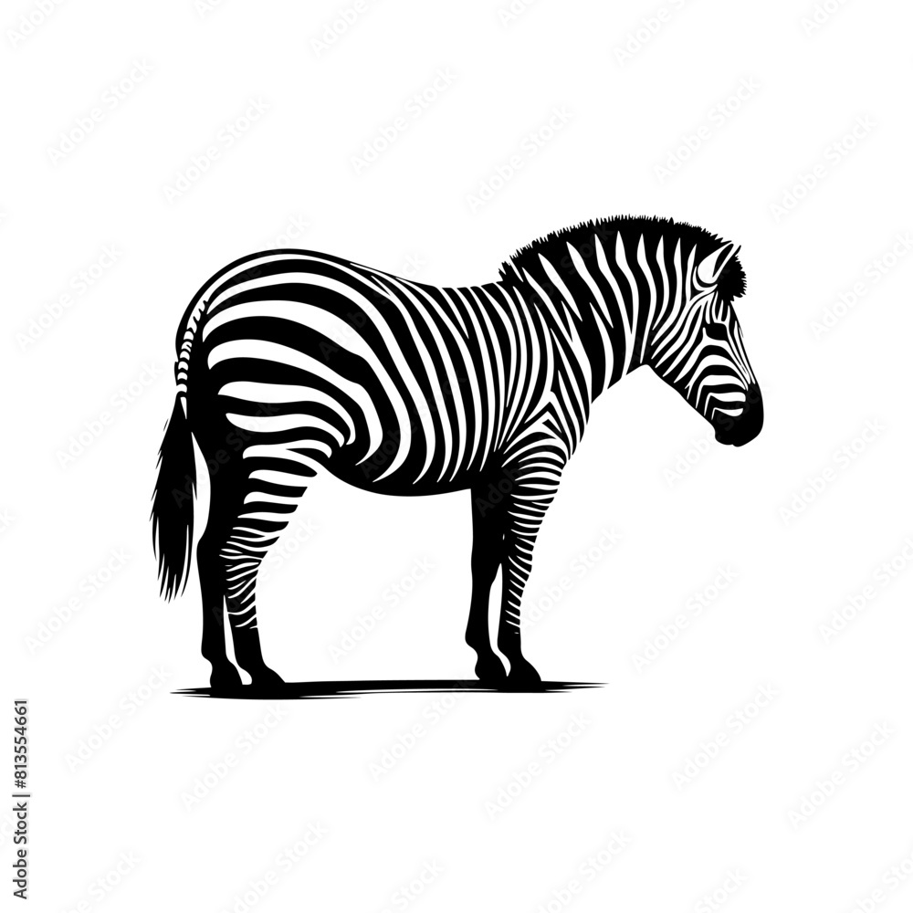 Obraz premium Zebra Silhouette Vector - Perfect for Wildlife Designs and Nature Enthusiasts Alike- Minimalist Zebra Illustration.