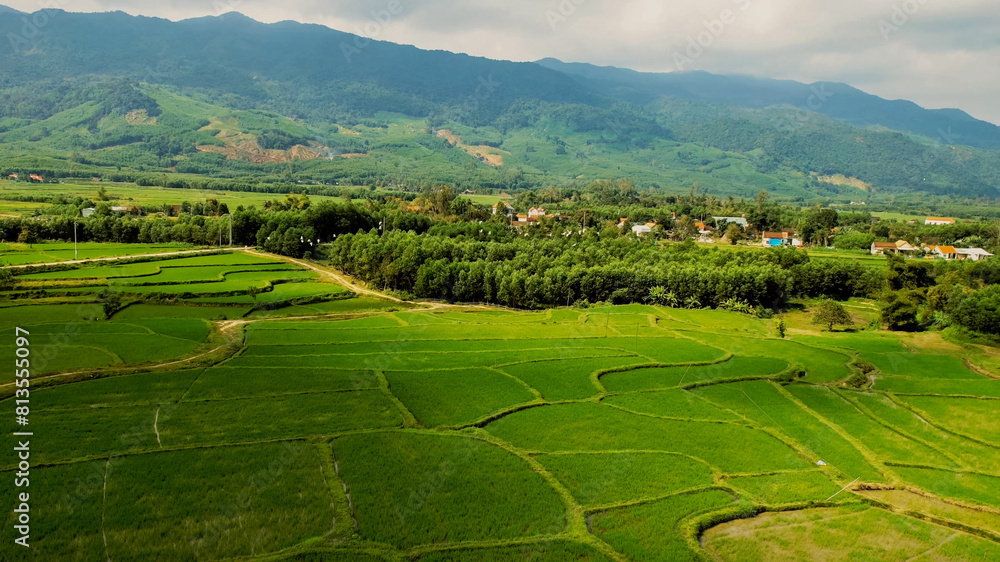 Aerial view of verdant rice terraces with a meandering road, showcasing sustainable agriculture and rural beauty, perfect for Earth Day and World Environment Day themes