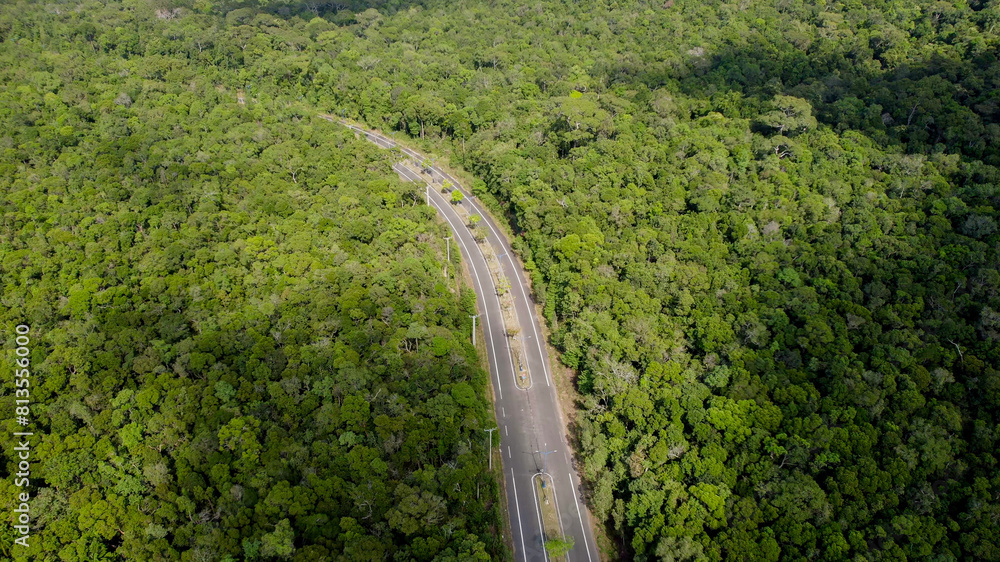 Aerial view of a deserted road cutting through a dense forest, symbolizing concepts of travel, solitude, and Earth Day environmental awareness Aerial view of a deserted road cutting through a dense forest, symbolizing concepts of travel, solitude, and Earth Day environmental awareness