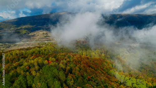 Aerial view of a vibrant autumn forest shrouded in mist, perfect for themes of nature's beauty, fall season, and Earth Day backgrounds