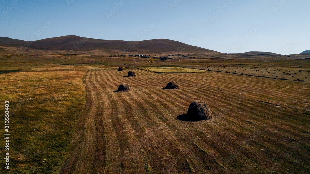 Obraz premium Rural landscape with round hay bales on a harvested field during autumn, related to agriculture and Thanksgiving concepts