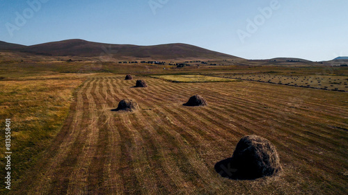 Rural landscape with round hay bales on a harvested field during autumn, related to agriculture and Thanksgiving concepts photo