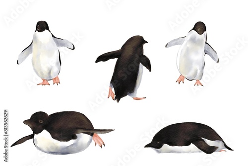 set of penguins on white