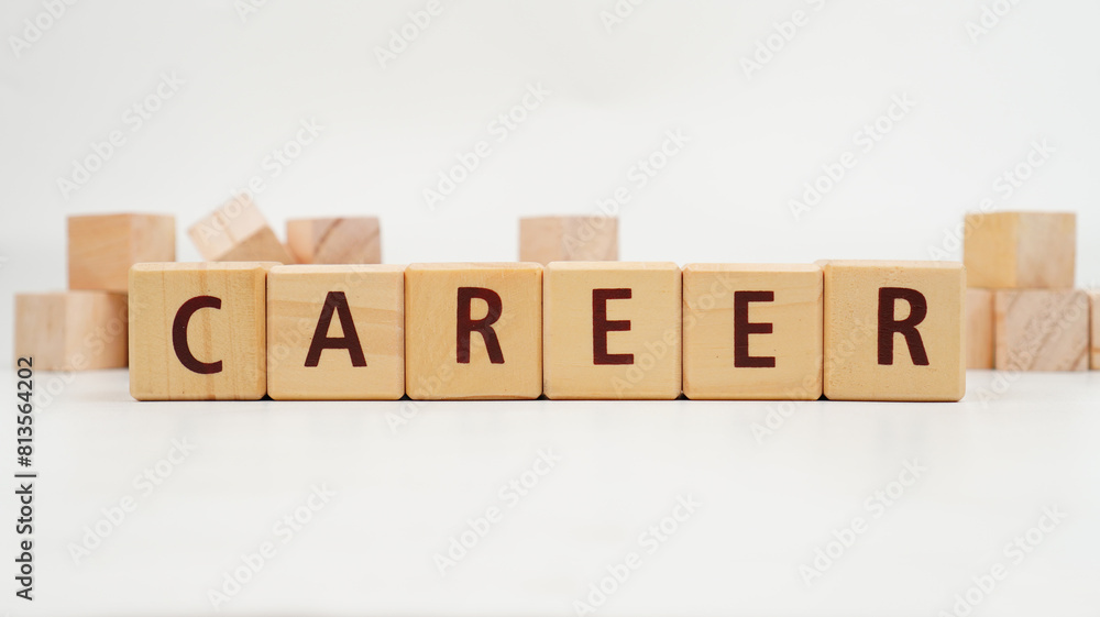 Obraz premium Career job concept on wooden blocks isolated transparent