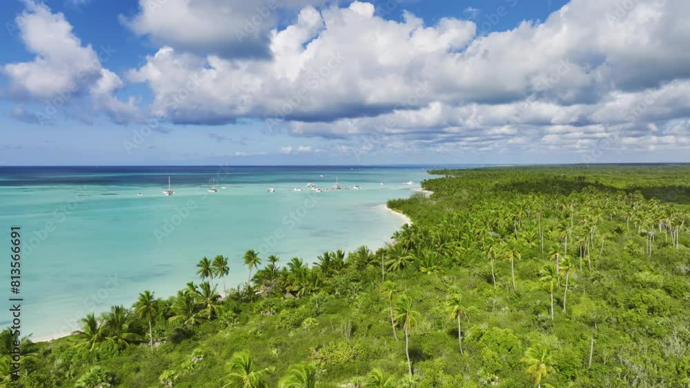 Palm-Fringed Beachfront Of Saona Island On East National Park In The Dominican Republic. Aerial Drone Shot Palm-Fringed Beachfront Of Saona Island On East National Park In The Dominican Republic. Aerial Drone Shot