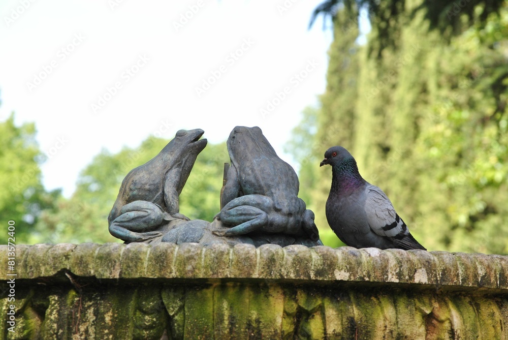 Obraz premium Beautiful rock dove near the old monument in the park