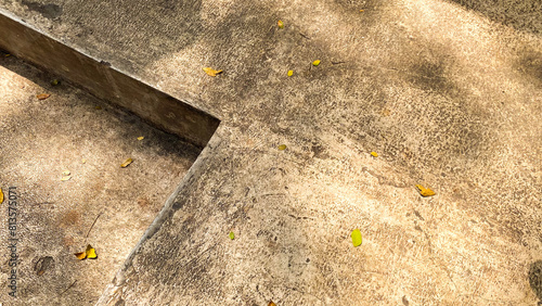 concrete texture with plant or tree shadow