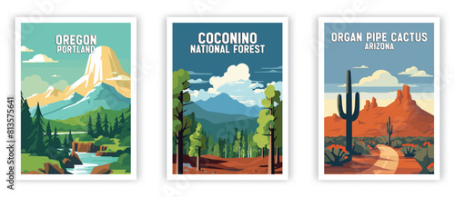 Oregon, Coconino, Organ Pipe Cactus Illustration Art. Travel Poster Wall Art. Minimalist Vector art