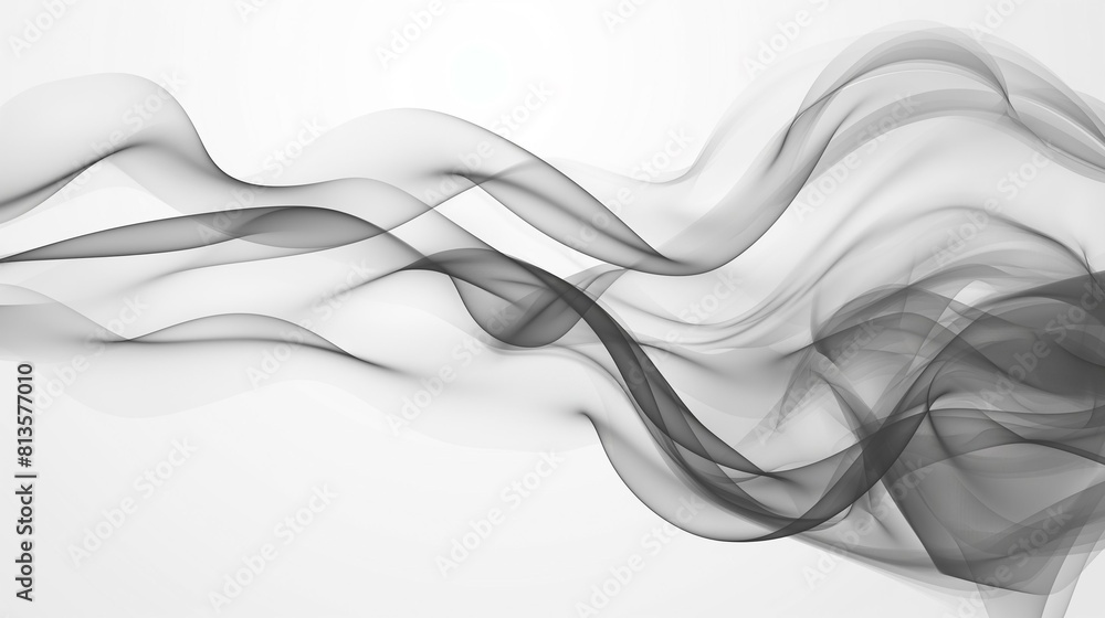 Obraz premium Black white gradient, soft abstract wave pattern design