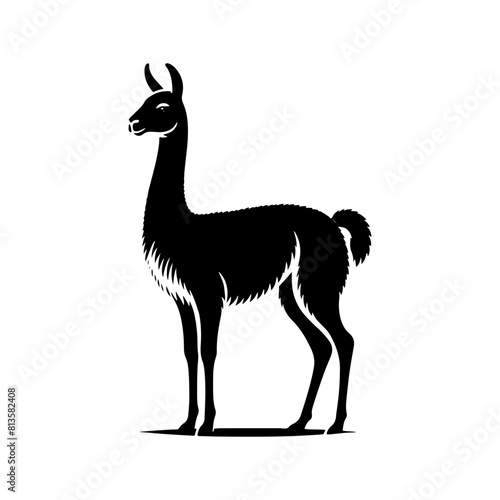 Highland Grace: Vector Vicuña Silhouette, Symbol of Elegance and Alpine Majesty- Minimalist Vicuna Vector- Vicuna Illustration.