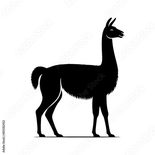 Highland Grace: Vector Vicuña Silhouette, Symbol of Elegance and Alpine Majesty- Minimalist Vicuna Vector- Vicuna Illustration.