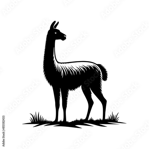 Highland Grace: Vector Vicuña Silhouette, Symbol of Elegance and Alpine Majesty- Minimalist Vicuna Vector- Vicuna Illustration.