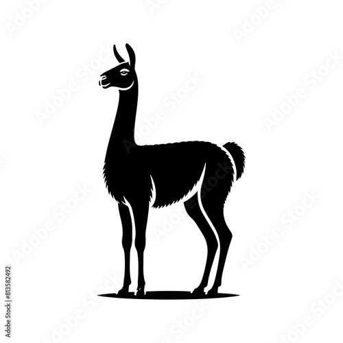 Highland Grace: Vector Vicuña Silhouette, Symbol of Elegance and Alpine Majesty- Minimalist Vicuna Vector- Vicuna Illustration.