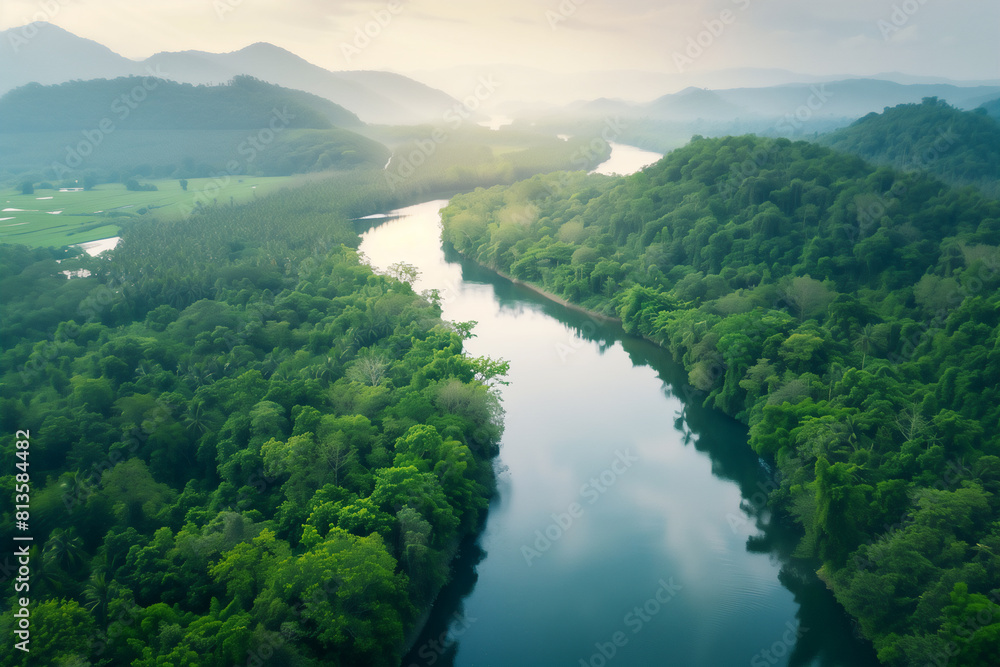 Aerial view of river tropical green forest southeast asia