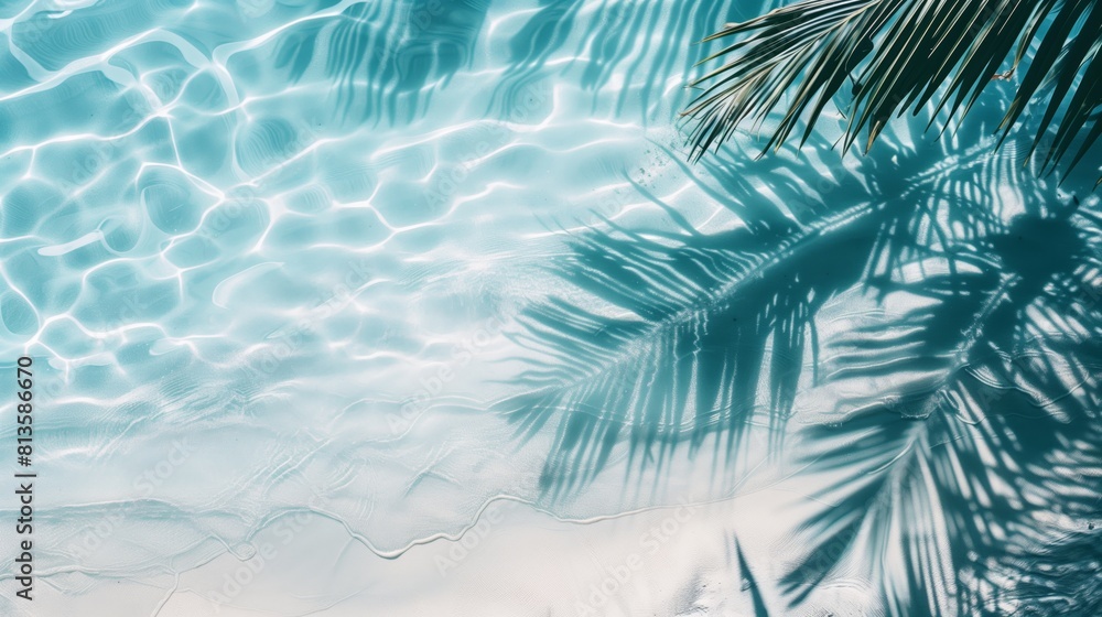 Seashore with water and sand and shade from palm trees summer background Seashore with water and sand and shade from palm trees summer background
