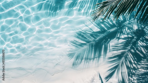 Seashore with water and sand and shade from palm trees summer background