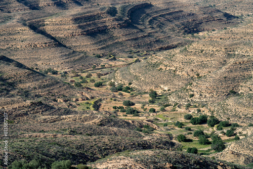 Dahar, southern Tunisian region, green after the rain photo