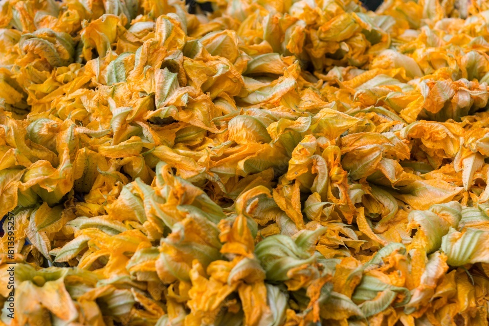 Bright yellow squash blossoms - perfect for wallpapers Bright yellow squash blossoms - perfect for wallpapers