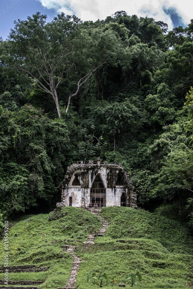 Vertical of a white hut in a majestic green forest with tall lush trees around Vertical of a white hut in a majestic green forest with tall lush trees around