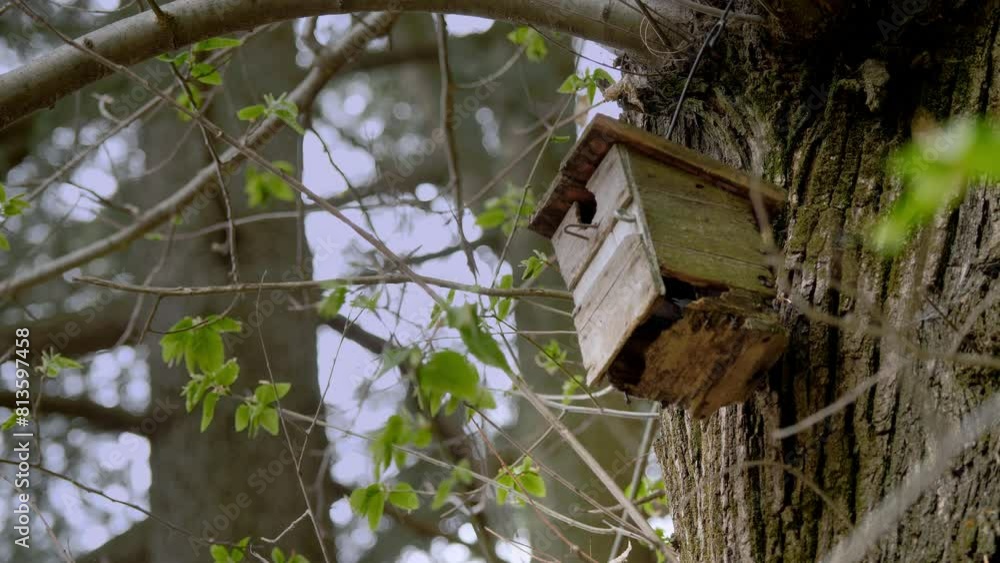 Rustic Wooden Birdhouse Mounted on a Tree in Early Spring Rustic Wooden Birdhouse Mounted on a Tree in Early Spring