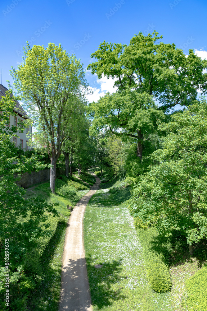 scenic castle park with green trees in Friedberg, Germany