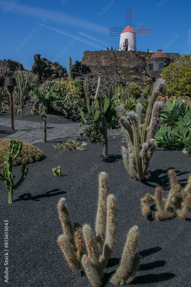 Cactus garden (Jardín de cactus) de César Manrique, Lanzarote, Canary islands