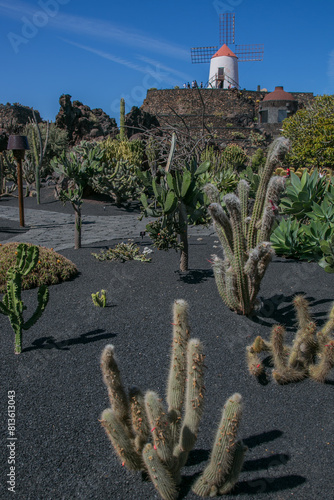 Obraz na płótnie Cactus garden (Jardín de cactus) de César Manrique, Lanzarote, Canary islands w salonie