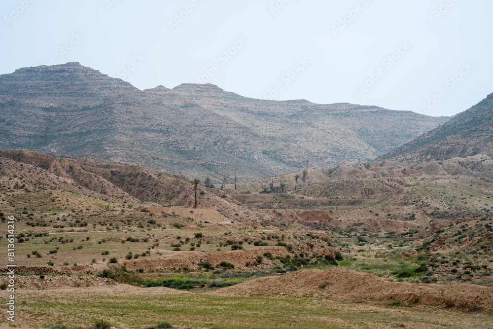 Dahar, southern Tunisian region, green after the rain Dahar, southern Tunisian region, green after the rain